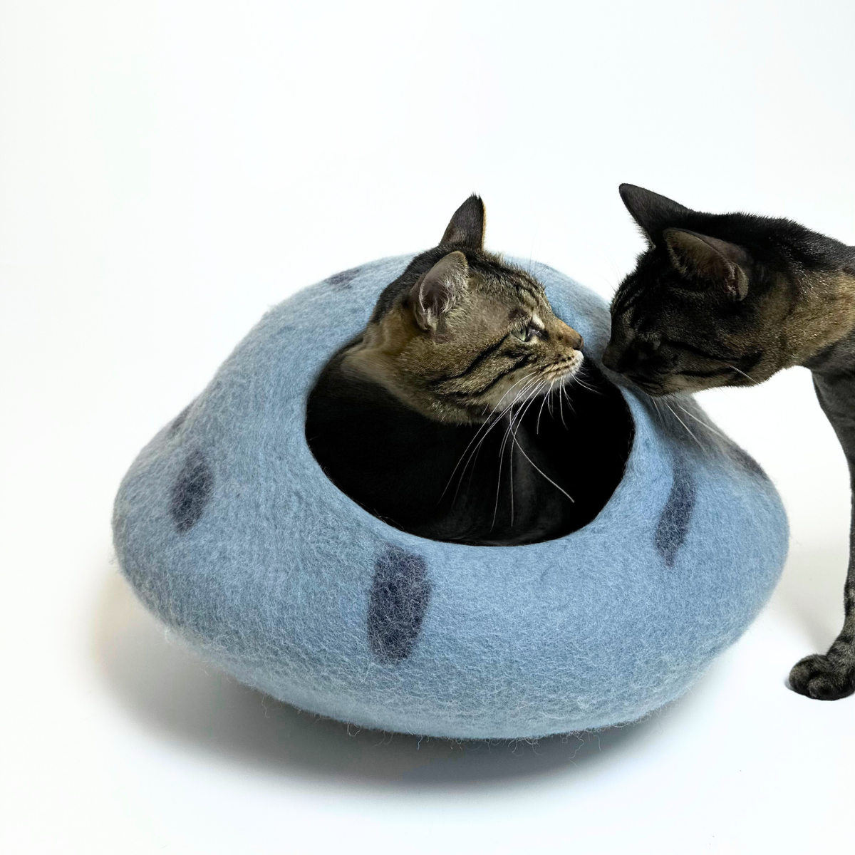 Mysterious Blue Crystal - Felt Cat Cave