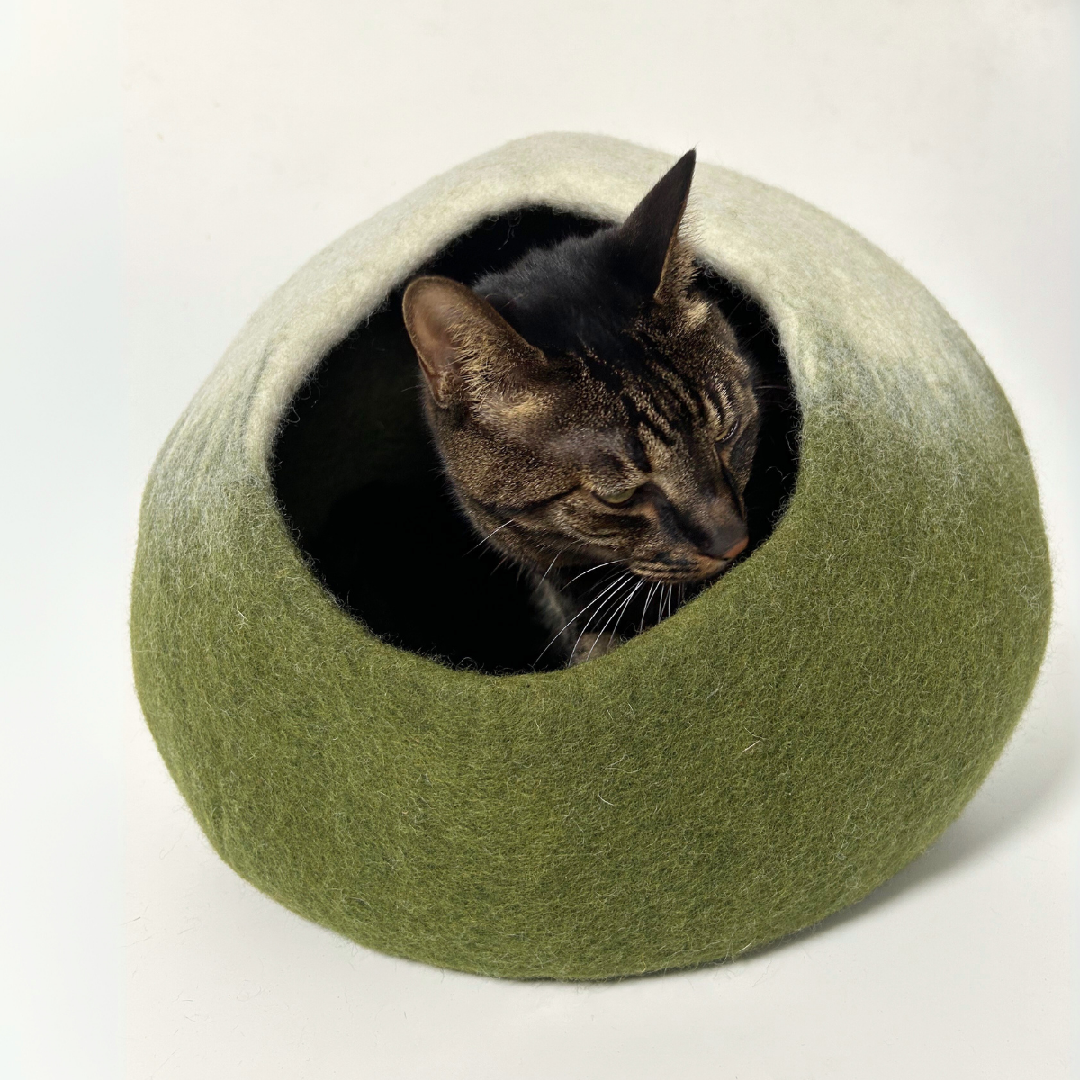 Matcha Mochi - Felt Cat Cave