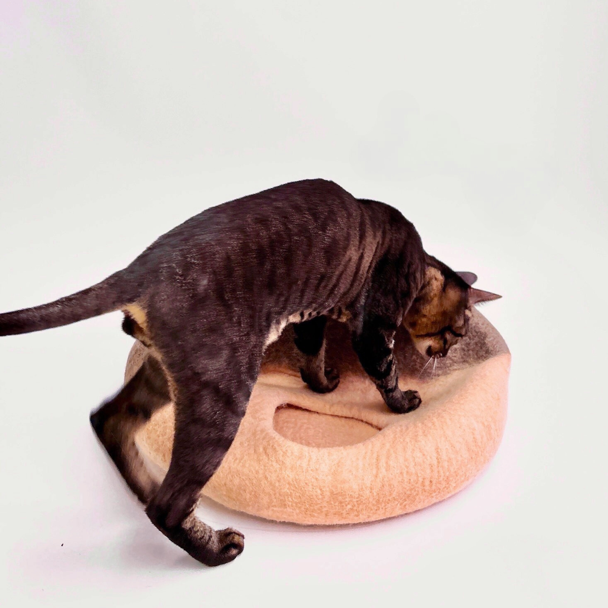 A Chestnut- Felt Cat Cave