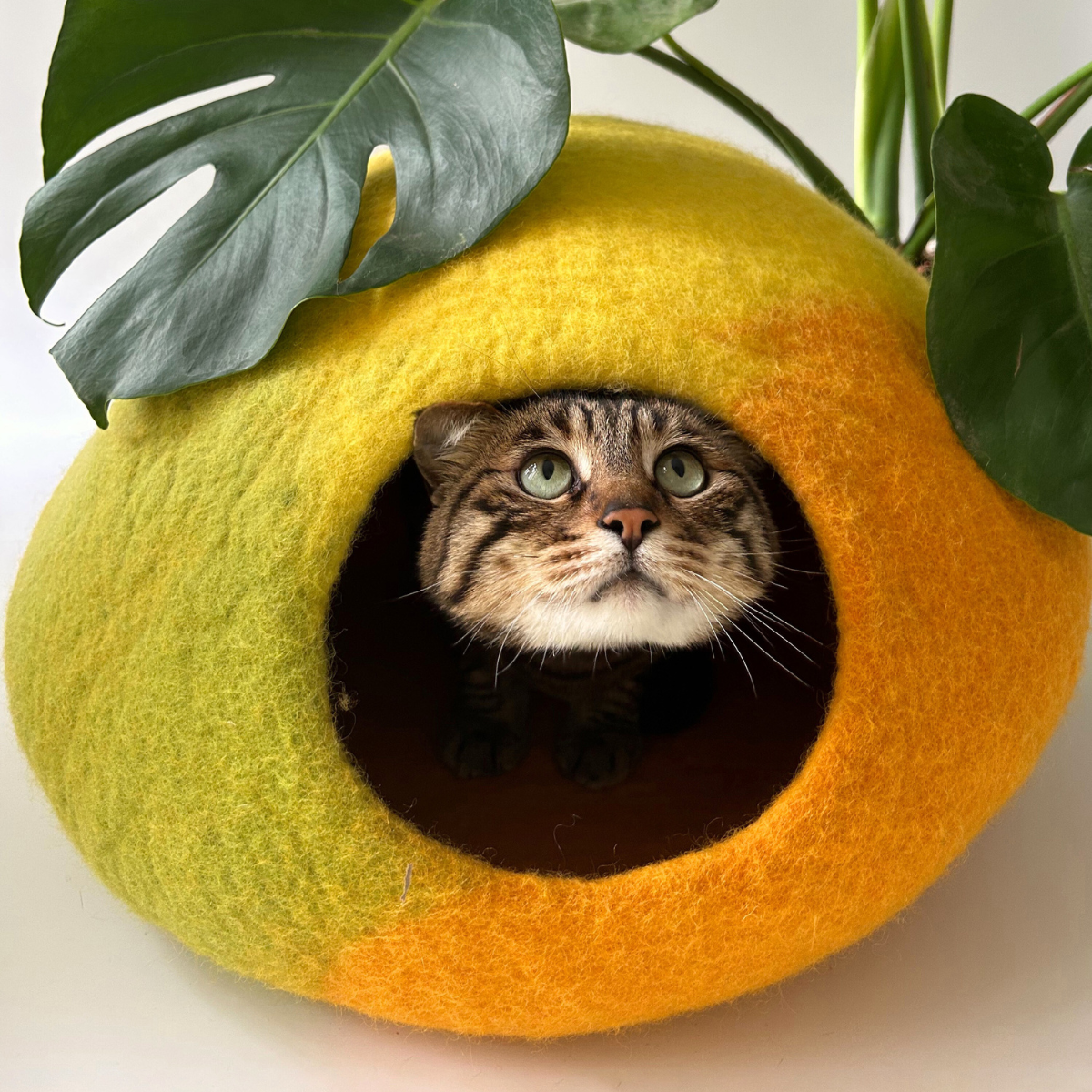 Amalfi Lemon - Wool Felt Cat Cave